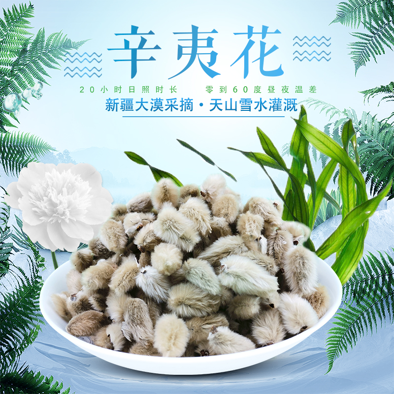 辛夷花茶鼻子炎白玉兰花新疆大漠望春泡水食用新植物中草药精品