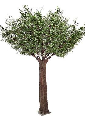 仿真橄榄树跨境室内人造橄榄树景区景观设计假大树仿生橄榄树