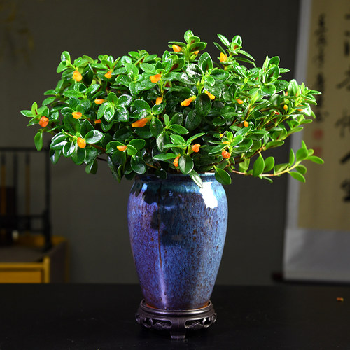 金鱼花客厅办公室书房茶几桌面