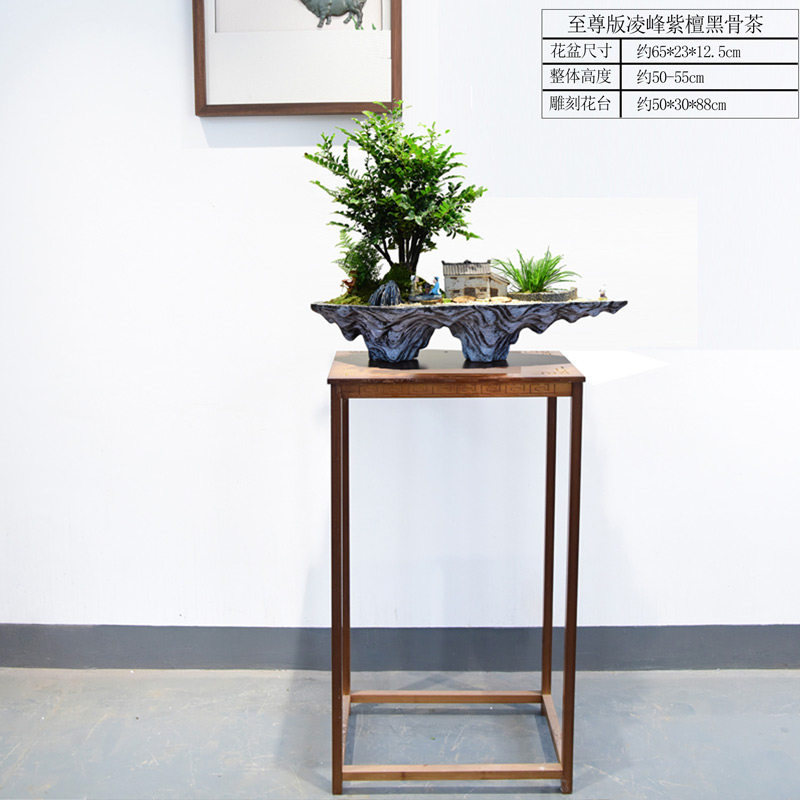 现货速发黑骨茶盆景桌面紫檀微景观室内客厅书房观赏绿植中式盆景