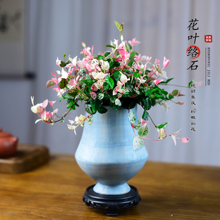 花叶络石盆栽五彩络叶吊兰花卉绿植盆景办公客厅阳台爬藤植物垂吊