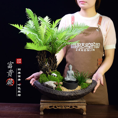 富贵蕨书房客厅办公室接待前台