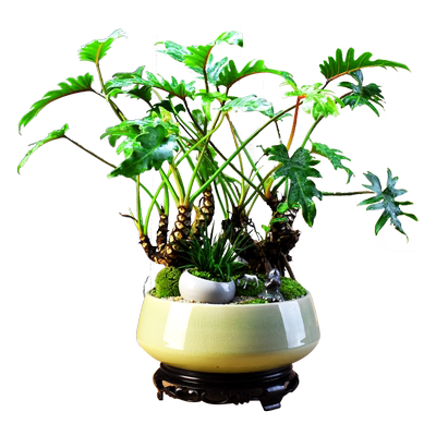 春羽书房客厅办公室阳台