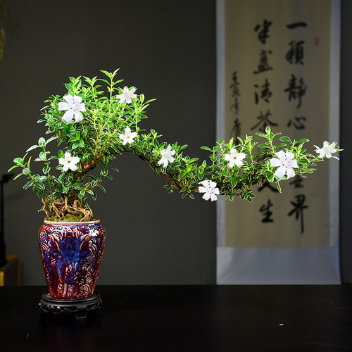 六月雪客厅书房接待前台