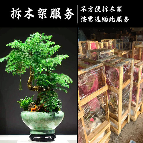 大盆景盆栽植物绿植摆件拆木架服务