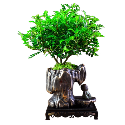 清香木办公桌书房接待前台客厅