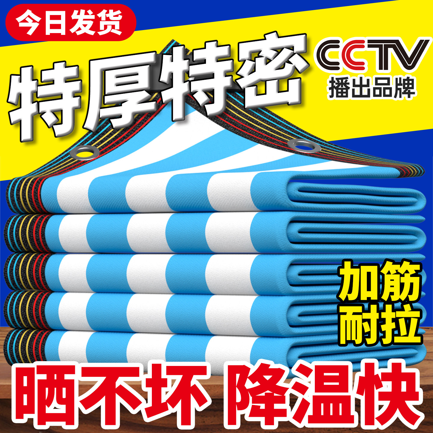 蓝白加密遮阳网防晒遮阴隔热加厚