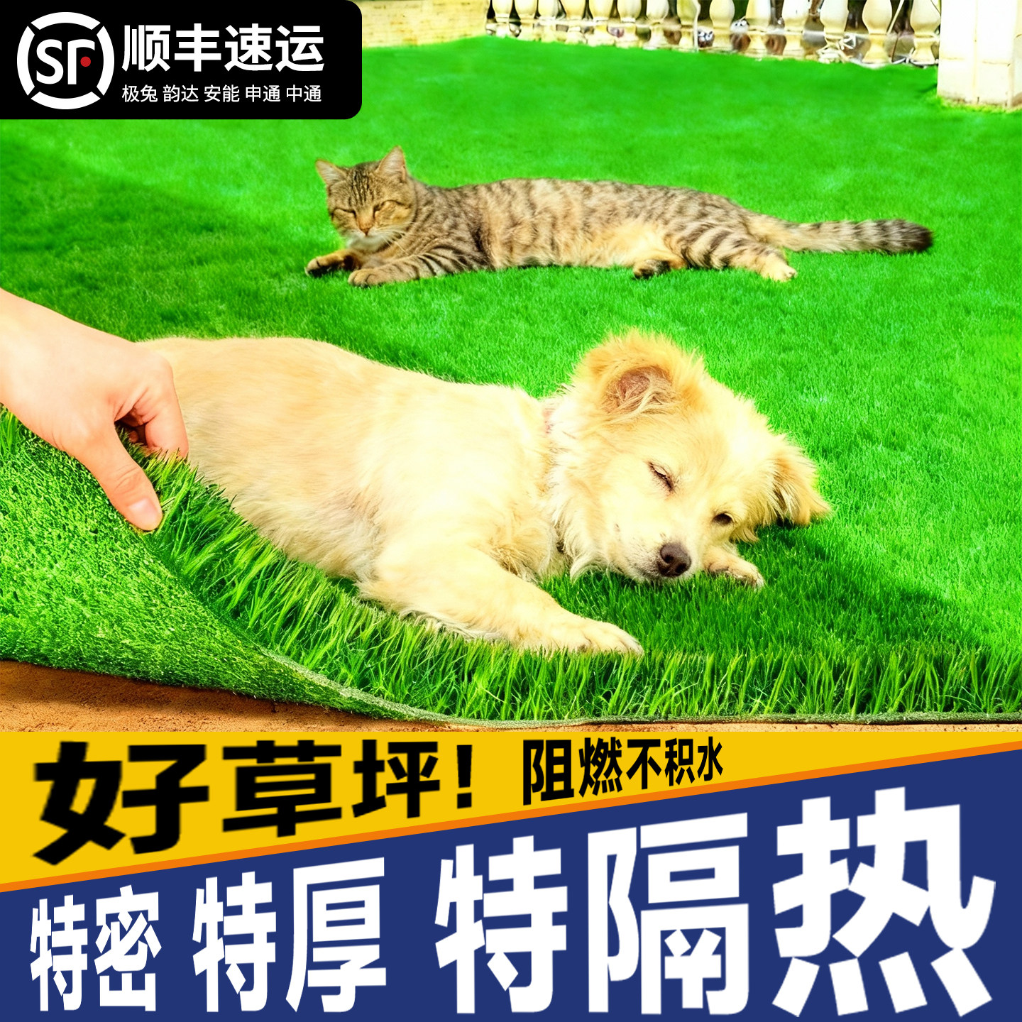 仿真草坪人造假草皮宠物地垫狗狗猫咪专用厕所垫隔尿垫阳台防滑垫,鲜花速递/花卉仿真/绿植园艺,仿真绿植,淘宝优惠券,粉丝福利购,淘宝优惠卷