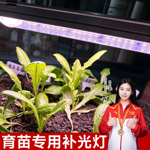 全光谱仿日光植物补光灯四排灯珠