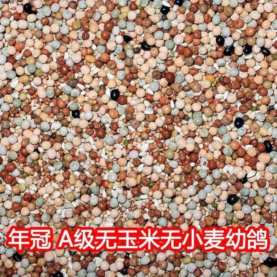 年冠A级无玉米小麦幼鸽-2