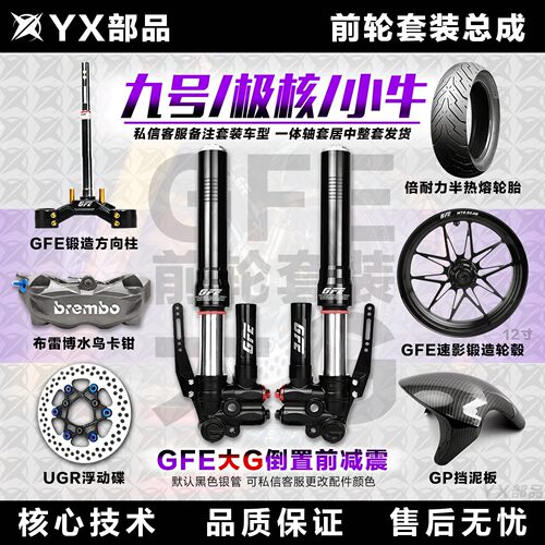 前轮一套GFE倒置大G前减震九号ENM系列小牛极核电摩直上前面改装