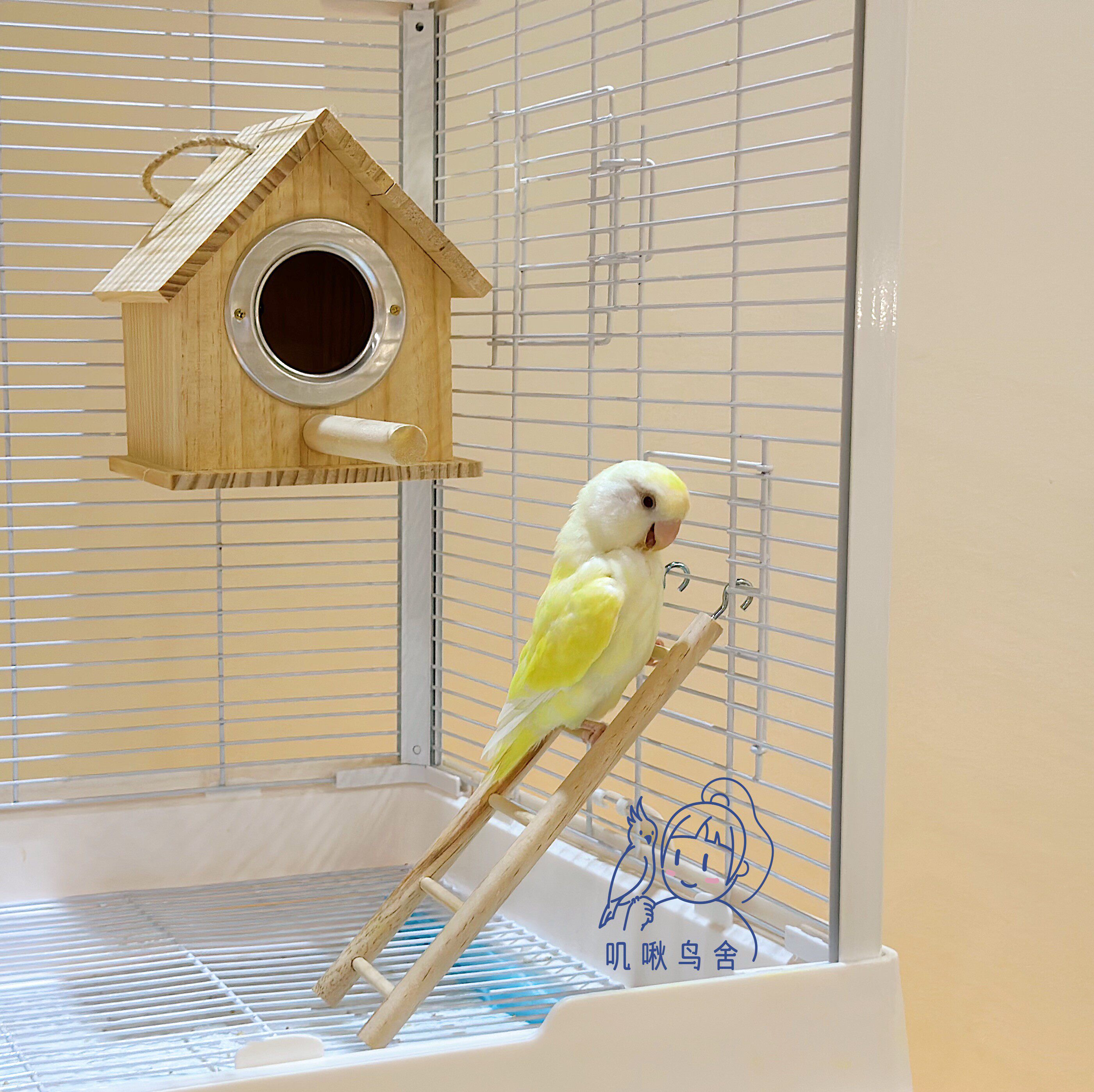 小木屋箱鹦鹉繁殖箱 木质鸟窝 安全性高 保暖居住 小型鹦鹉适用