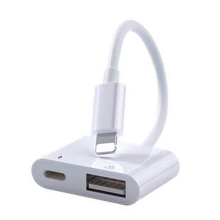 毕亚兹适用苹果otg转接头外接u盘手机转换器lightning转USB优盘iPhone平板iPad移动硬盘多功能数据线转接线
