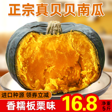 山东精品贝贝南瓜板栗味5斤正宗日本进口老新鲜正品真板栗小南瓜