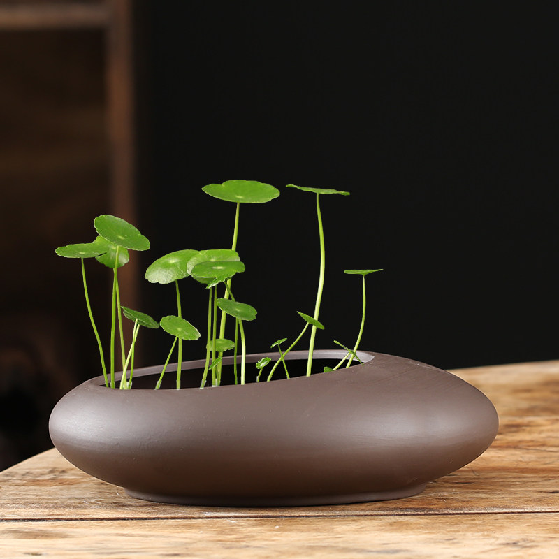 铜钱草专用水仙花盆陶瓷大号清仓无孔一叶莲碗莲盆多肉大口径水培,鲜花速递/花卉仿真/绿植园艺,花盆,淘宝优惠券,粉丝福利购,淘宝优惠卷