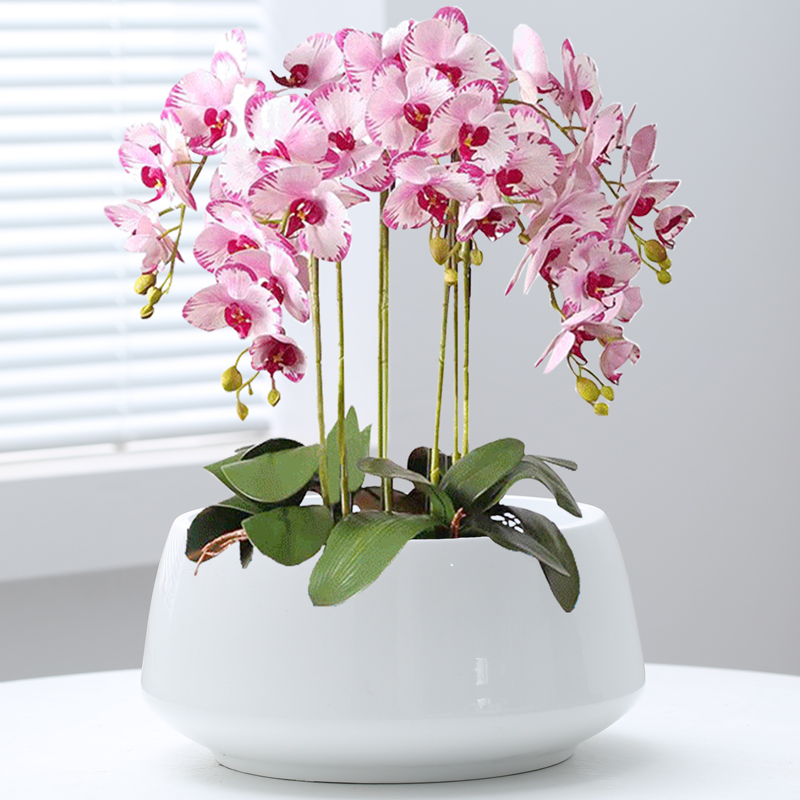 蝴蝶兰专用花盆陶瓷大号特大号家用客厅桌面阳台大口径多肉绿植盆