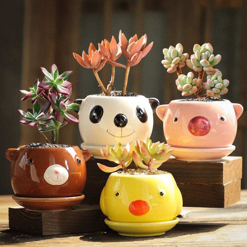 多肉花盆陶瓷马卡龙套装透气特大号口径创意个性可爱特价清仓包邮,鲜花速递/花卉仿真/绿植园艺,花盆,淘宝优惠券,粉丝福利购,淘宝优惠卷