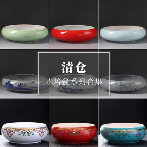 铜钱草水仙花花盆特价清仓