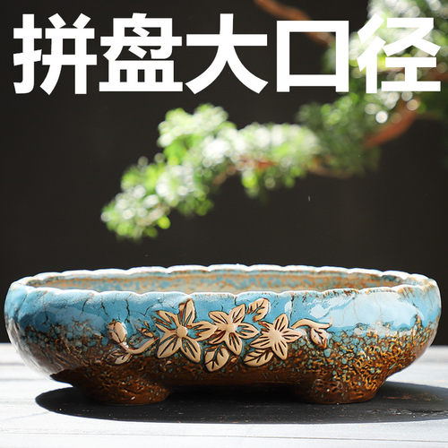 多肉拼盘大花盆包邮组合植物群生