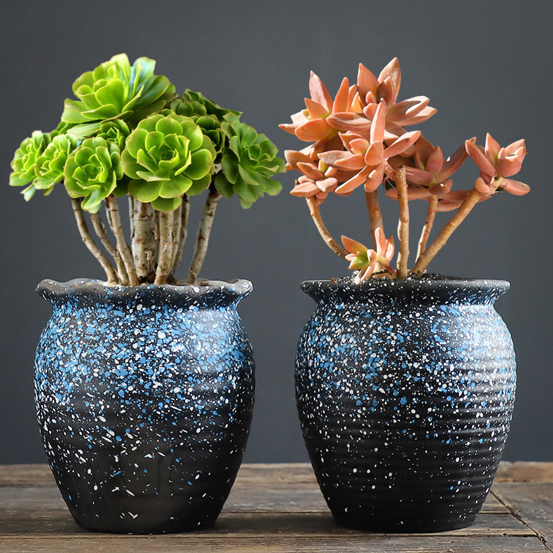 多肉花盆大号老桩特价清仓创意大口径粗陶透气吸水肉肉植物陶瓷盆,鲜花速递/花卉仿真/绿植园艺,花盆,淘宝优惠券,粉丝福利购,淘宝优惠卷