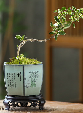 多肉花盆陶瓷小号紫砂透气带底座