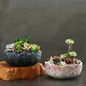 多肉花盆陶瓷大口径特价 组合肉肉拼盘大号粗陶盆 简约套装 清仓 包邮