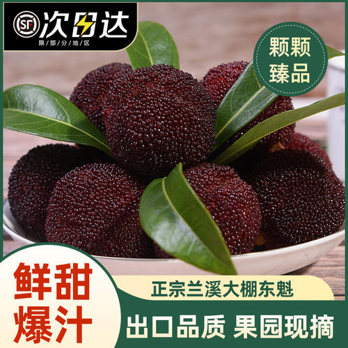 溪之梅兰溪大棚东魁杨梅超甜果王