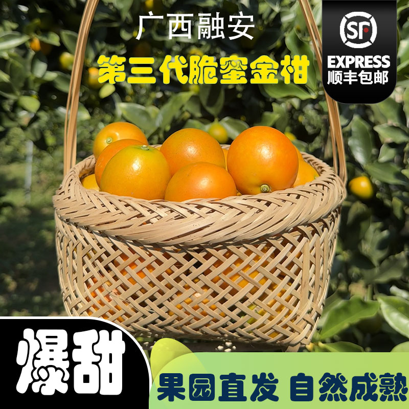广西融安脆蜜金柑不甜包赔