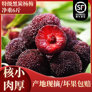 正宗兰溪马涧特级黑炭杨梅新鲜现摘现发荸荠杨梅鲜果应季水果孕妇