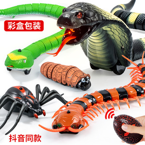 抖音同款整蛊玩具蛇仿真蜈蚣电动