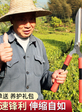花剪园艺剪刀修剪树枝专用园林家用茶叶果树大枝剪草坪绿化修枝剪