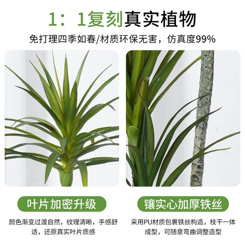 Легкая роскошная гостиная моделирование зеленого растения Дракона Кровавого дерева Связанные фальшивые деревья сажают горшечные декоративные украшения бонсай