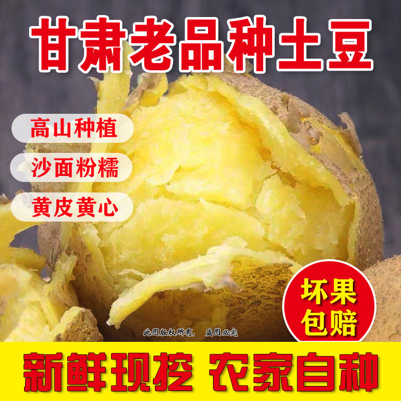甘肃定西沙面土豆粉糯马铃薯洋芋