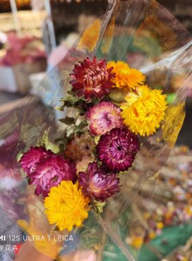 干花小雏菊永生花桌花