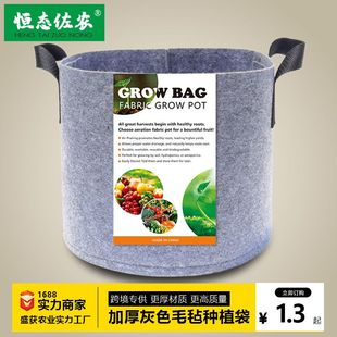 货源 grow bag毛毡种植桶植物种植袋灰色无纺布植树袋加仑盆