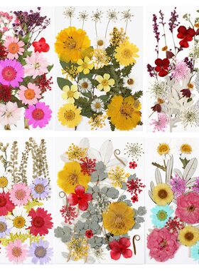 干花压花组合包 真花押花材料包 Pressed Flower植物标本花瓣
