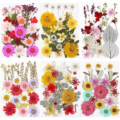 干花压花组合包真花押花材料