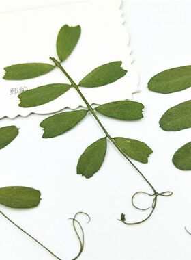 干花滴胶蜡烛DIY手工材料