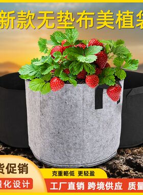 美植袋毛毡种植袋黑色