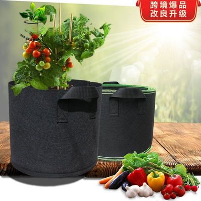 跨镜植物袋种植育苗花盆