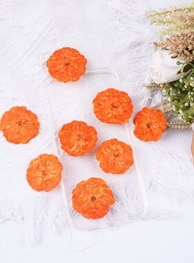 橙色玫瑰花干压花植物标本滴胶相框书签蜡烛手工diy押花儿童手工