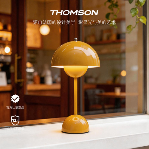 汤姆逊北欧花苞充电装饰台灯