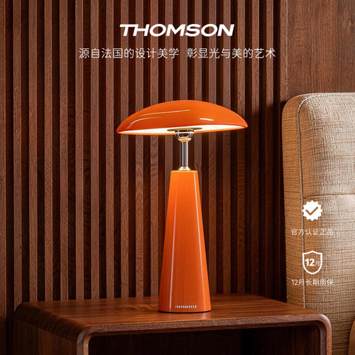 汤姆逊现代简约卧室床头桌面台灯
