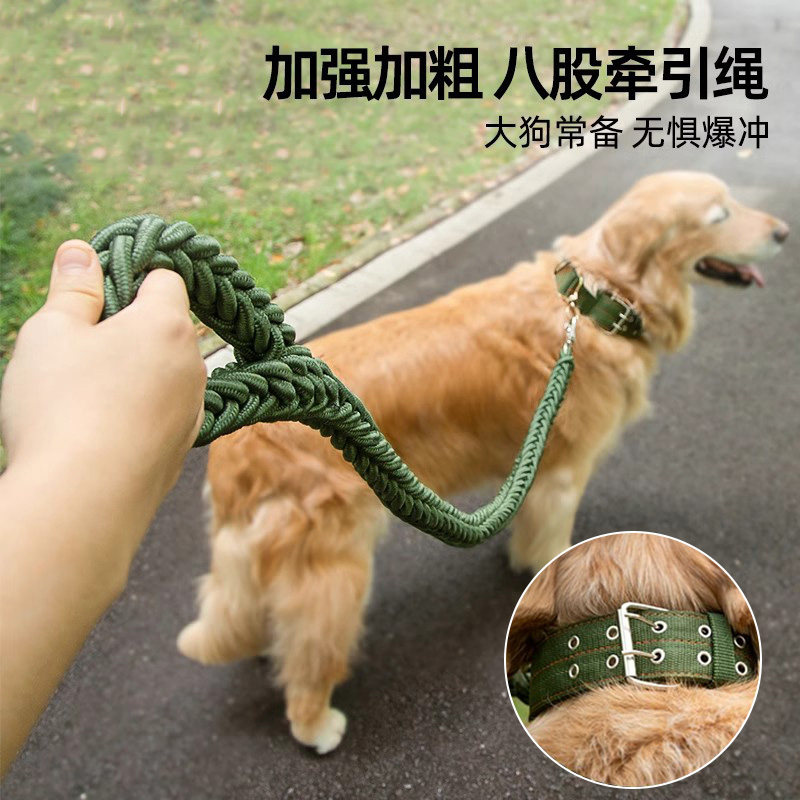 八股绳项圈式狗狗牵引绳中大型犬狗链子金毛遛狗绳防爆冲拴狗p链