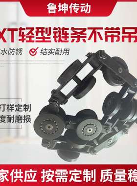 厂家涂装悬挂输送线QXT250型双导轮链条双链板双导轮地轨链条