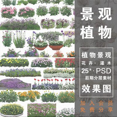 园林景观植物psd花丛乔木灌木花卉岩石剖立面图效果图ps设计素材