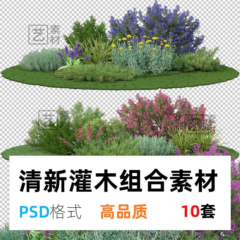 清新灌木花镜组合PSD免扣图园林景观设计配置平面效果图ps素材