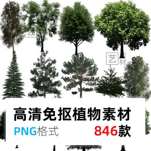 建筑景观园林效果图植物PNG格式源文件PS高清后期免抠大树木素材