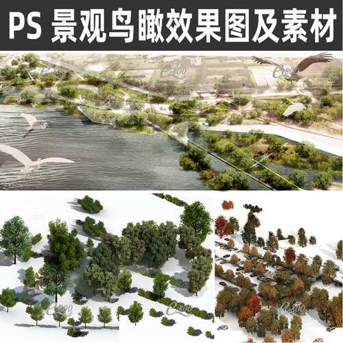 湿地公园景观PS效果图小清新植物树园林后期PSD分层素材鸟瞰图