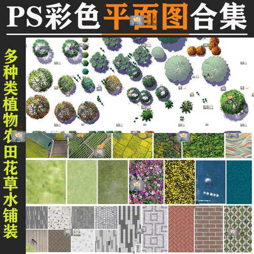 景观彩平图ps素材合集 建筑平面图psd园林植物树公园广场铺装设计